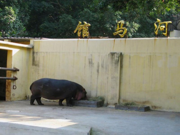 漳州動(dòng)物園_<a style=