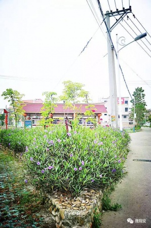 翔安有個名副其實的美麗小山村...