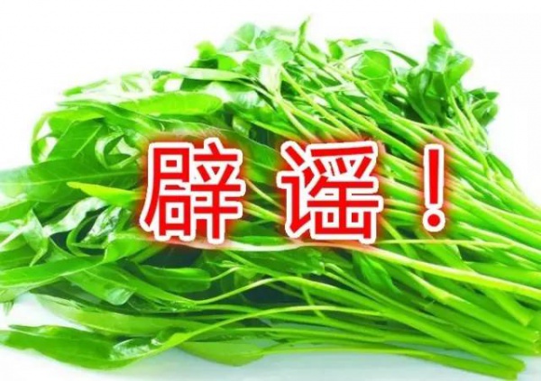 空心菜最毒？鯰魚最臟？西紅柿與蝦蟹會產生砒霜？答案來了