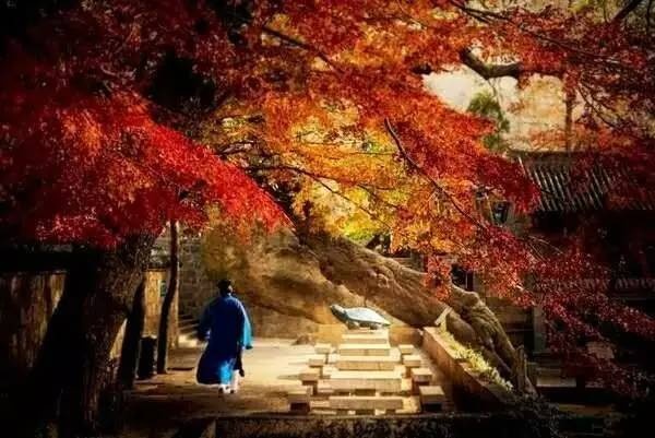 跟道家學(xué)想得開，跟儒家學(xué)拿得起，跟佛家學(xué)放得下