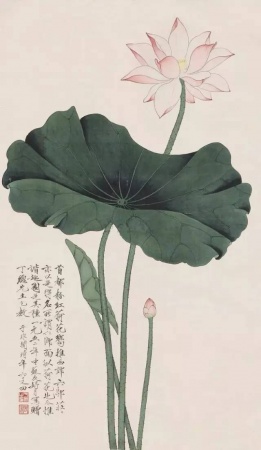 都說人有七件寶，你有幾寶？