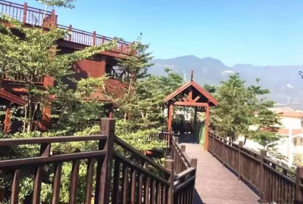 吸引十多萬(wàn)人參觀！灌口這些“老古董”紅遍廈漳泉