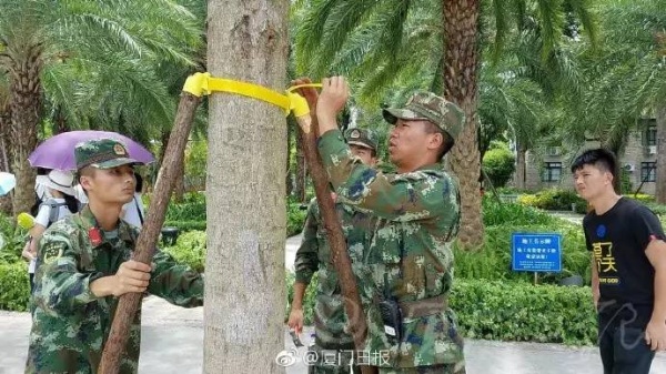 最新！雙臺(tái)風(fēng)之一“納沙”明早8點(diǎn)前后登陸福建！已對(duì)臺(tái)灣造成重創(chuàng)，廈門或成暴雨重災(zāi)區(qū)……