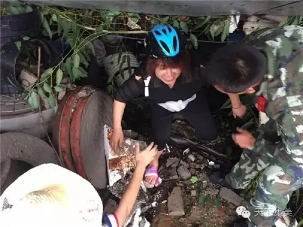 鳳凰涅槃！回首莫蘭蒂，那些感動(dòng)集美的畫面，最難忘！