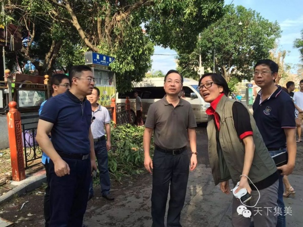 鳳凰涅槃！回首莫蘭蒂，那些感動(dòng)集美的畫面，最難忘！