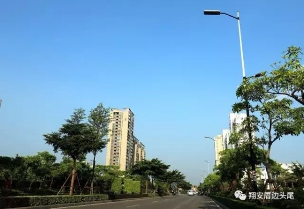 鳳凰涅槃！莫蘭蒂一周年，這些感動全翔安的畫面你還記得嗎？