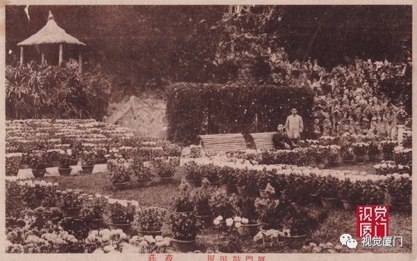 注定留不住的鼓浪嶼菽莊花園，一次次毀滅和重生