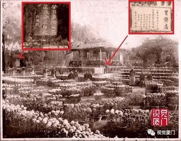 注定留不住的鼓浪嶼菽莊花園，一次次毀滅和重生