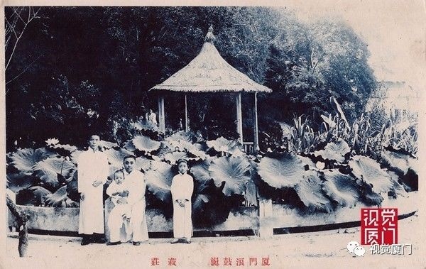 注定留不住的鼓浪嶼菽莊花園，一次次毀滅和重生