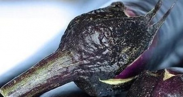 茄子這樣吃，勝過10副藥，可你還老把這些好東西扔掉！