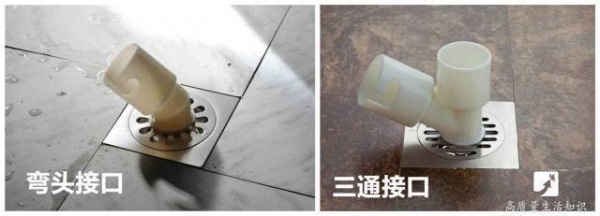 這個(gè)細(xì)節(jié)不注意，家里的洗衣機(jī)就成蟑螂的運(yùn)動(dòng)場(chǎng)