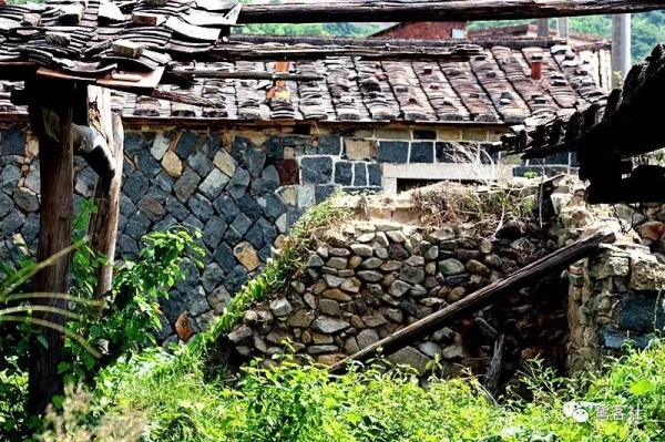 南安官橋曙光村（一）：向北，向北，直到那飄蕩著地瓜香的土地