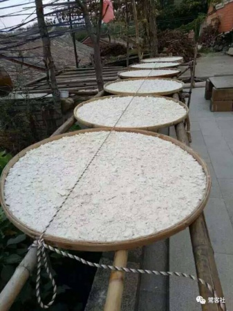 南安官橋曙光村（一）：向北，向北，直到那飄蕩著地瓜香的土地