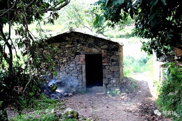 南安官橋曙光村（一）：向北，向北，直到那飄蕩著地瓜香的土地