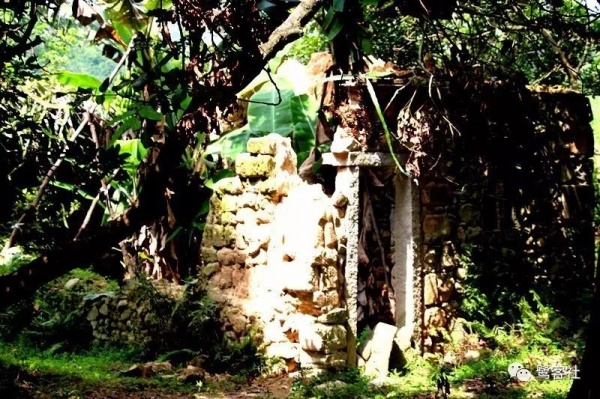 南安官橋曙光村（一）：向北，向北，直到那飄蕩著地瓜香的土地
