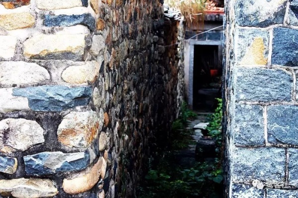 南安官橋曙光村（一）：向北，向北，直到那飄蕩著地瓜香的土地