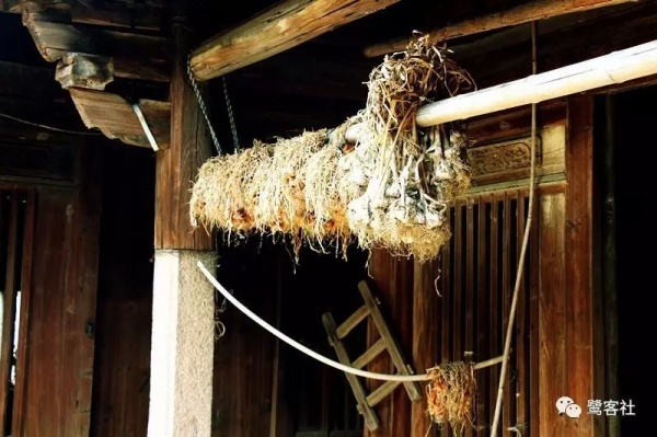 南安官橋曙光村（一）：向北，向北，直到那飄蕩著地瓜香的土地