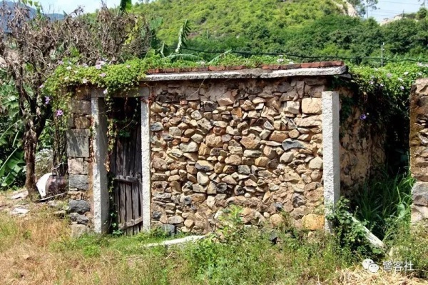 南安官橋曙光村（一）：向北，向北，直到那飄蕩著地瓜香的土地