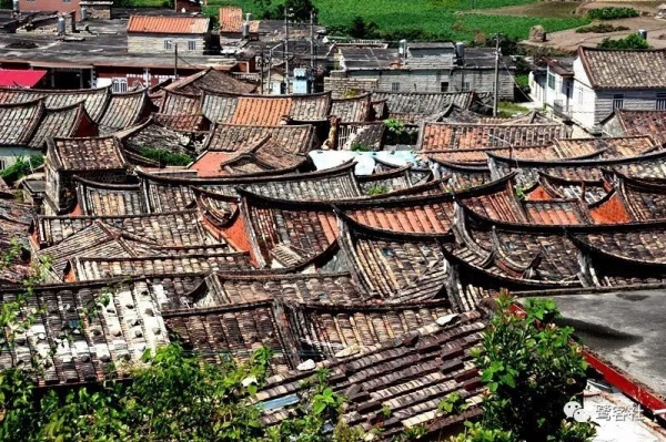 南安官橋曙光村（一）：向北，向北，直到那飄蕩著地瓜香的土地