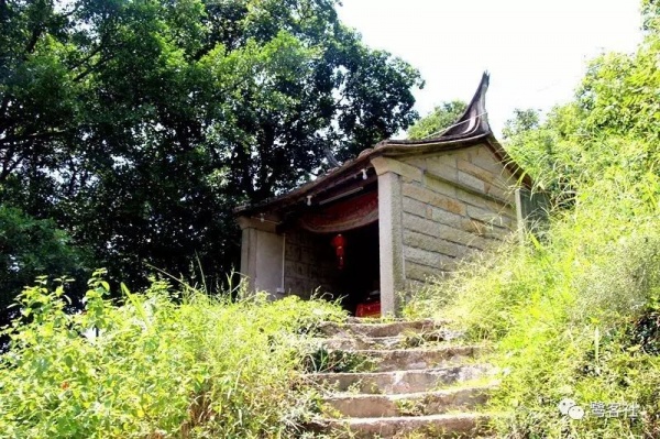 南安官橋曙光村（一）：向北，向北，直到那飄蕩著地瓜香的土地