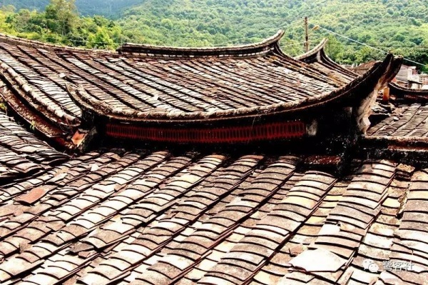 南安官橋曙光村（一）：向北，向北，直到那飄蕩著地瓜香的土地