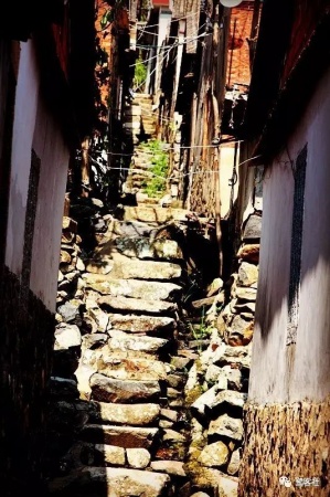 南安官橋曙光村（一）：向北，向北，直到那飄蕩著地瓜香的土地