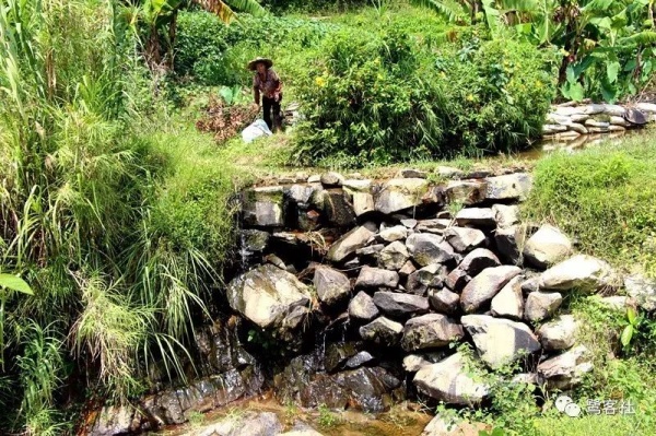 南安官橋曙光村（一）：向北，向北，直到那飄蕩著地瓜香的土地