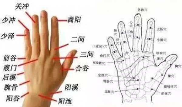 快看看你身體的10大黃金三角區！小心保護，養好了，百病不擾！