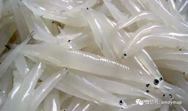 思明區好玩在哪里，“三字地名對”來告訴你（一）