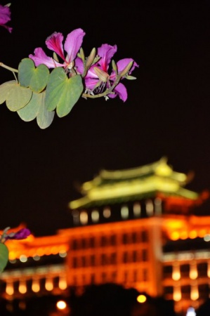 廈門：集美龍舟池夜色（組圖）_志遠(yuǎn)天下行